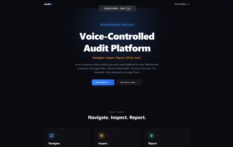AuditAI – screenshot 2