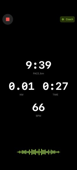 Pace Pilot – screenshot 1