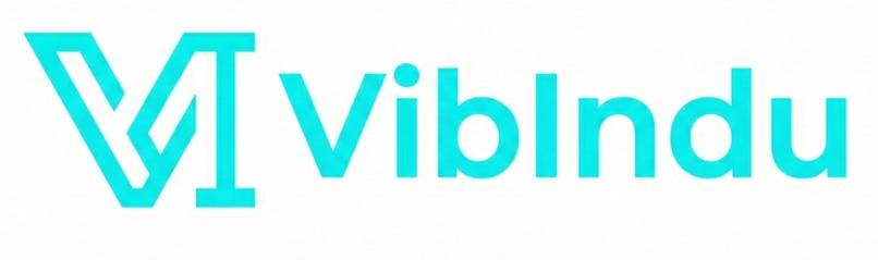 VibIndu Live Mode – screenshot 1