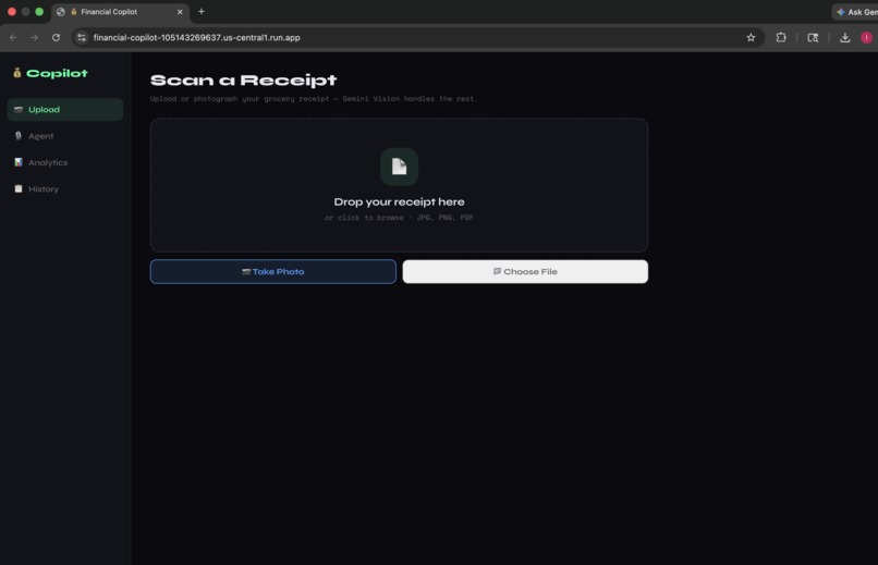 Financial Copilot – screenshot 2