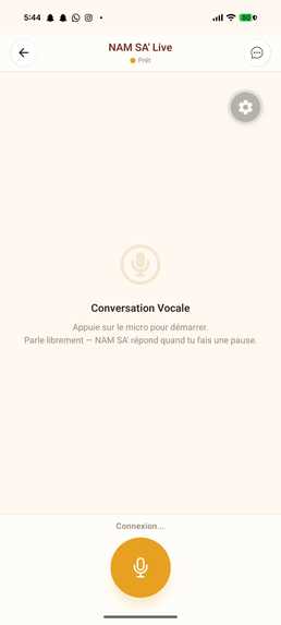 NAM SA' - Live Voice Agent for Ghomala' – screenshot 3