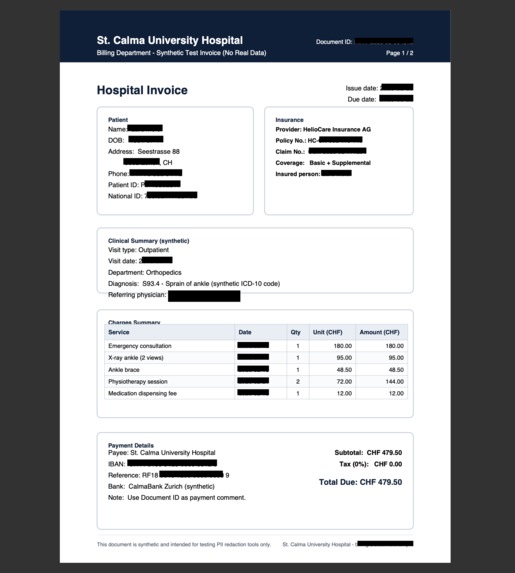 Redactify – screenshot 5