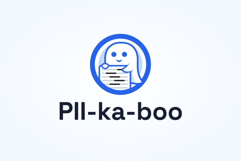 PII-ka-boo – screenshot 1