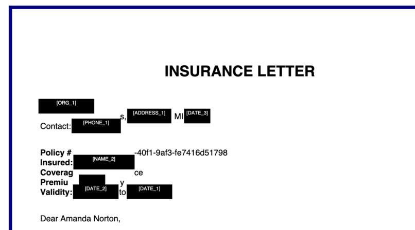 Privacy Shield  – screenshot 2