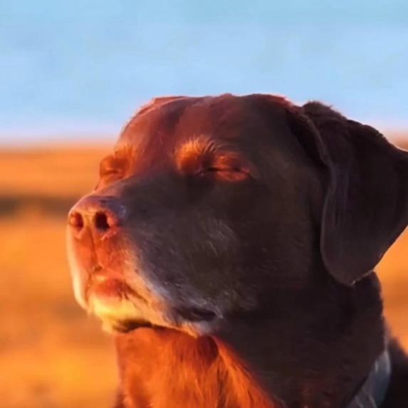 NUS Aircon Checker – screenshot 1