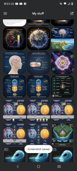 Nucleus biosystems – screenshot 1