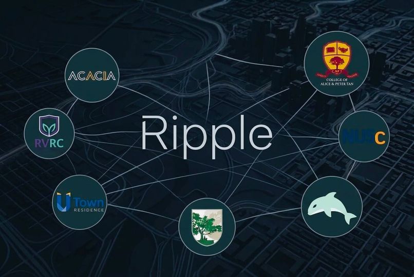 Ripple – screenshot 6