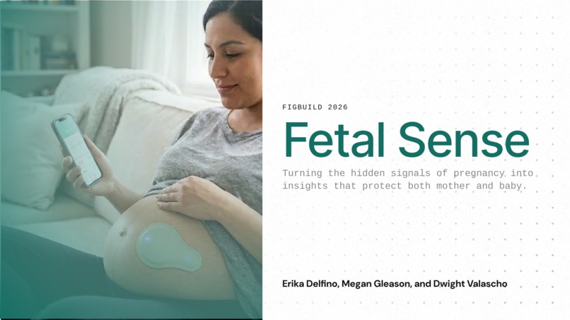 Fetal Sense – screenshot 1