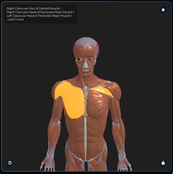 Clavicular – screenshot 1