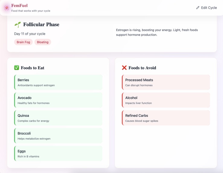 FemFuel – screenshot 1