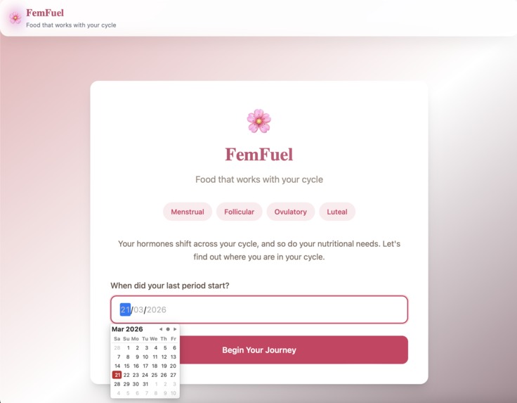 FemFuel – screenshot 6