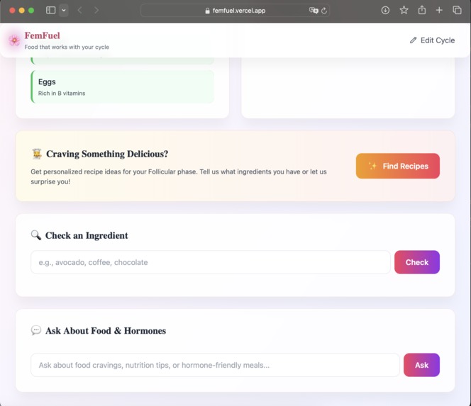 FemFuel – screenshot 7