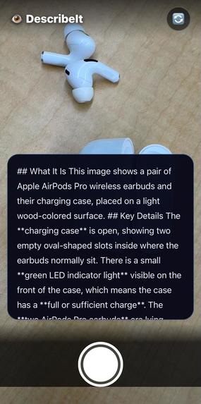 DescribeIt – screenshot 4