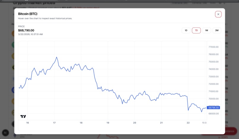 Pebbl – screenshot 5