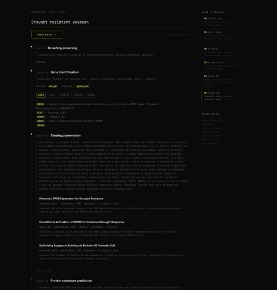 SeedEngine – screenshot 1