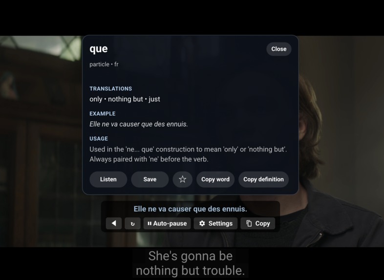 LinguaLens – screenshot 1