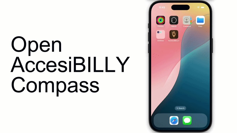AccessBilly  – screenshot 1