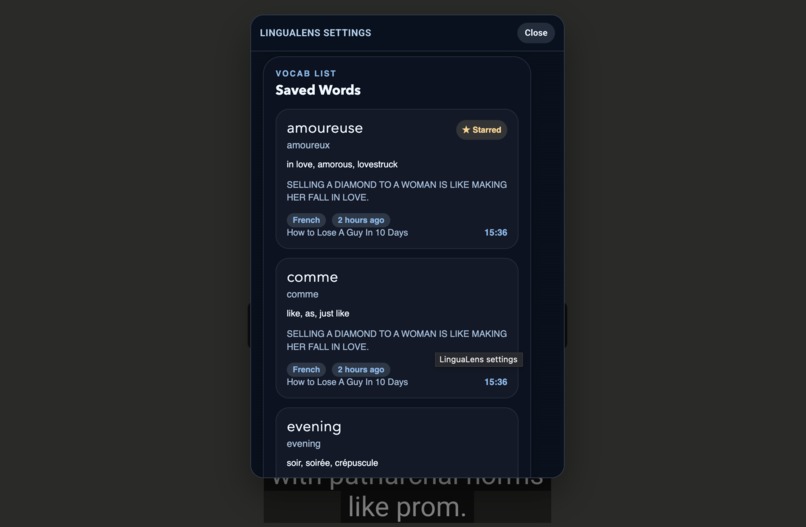 LinguaLens – screenshot 3