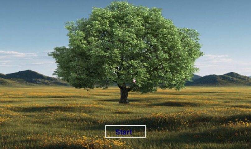 Mystery Tree – screenshot 2