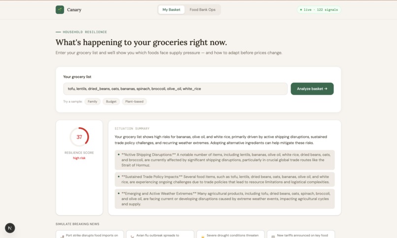Canary - 31 – screenshot 1