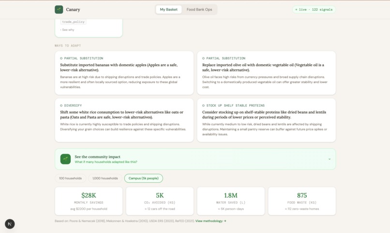 Canary - 31 – screenshot 2