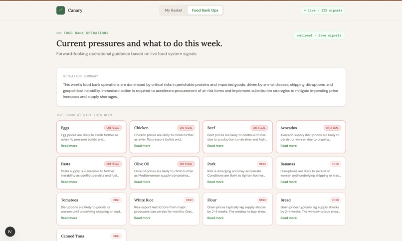 Canary - 31 – screenshot 3