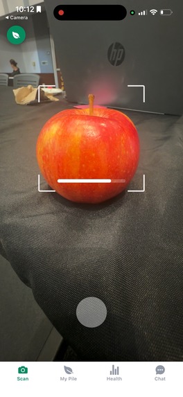 Budsey - Table 44 – screenshot 1