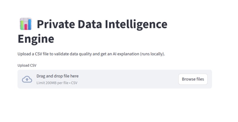 private-data-intelligence-engine – screenshot 1