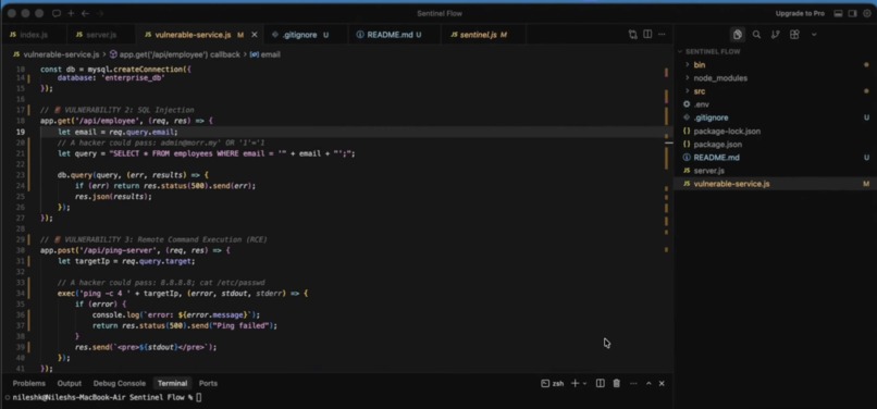 Sentinel Flow – screenshot 1