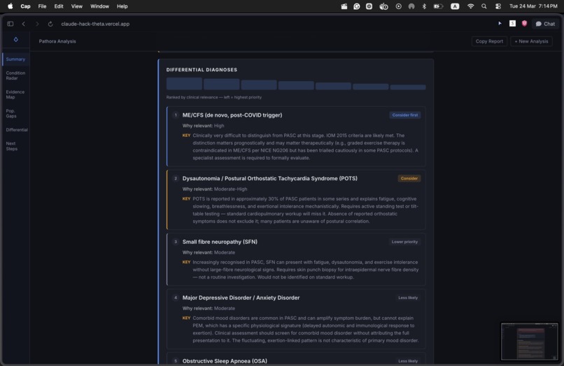 Pathora – screenshot 3