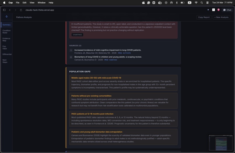 Pathora – screenshot 4