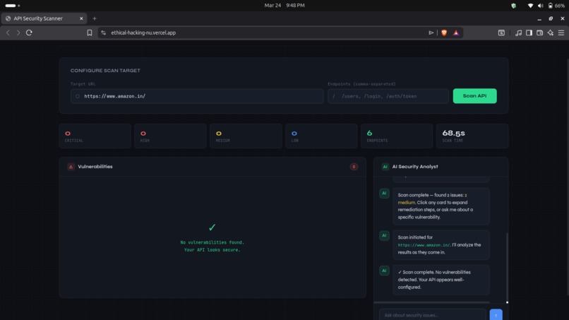 API Security Scanner – screenshot 2