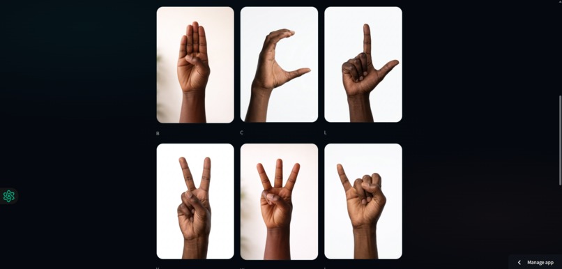 Ọwọ-AI – screenshot 2