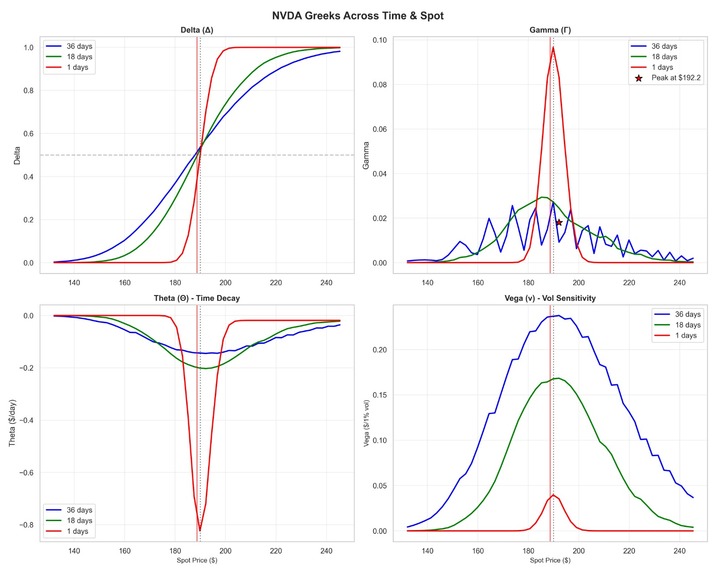 Q-tool : Options Pricing & Risk Analysis Engine – screenshot 12