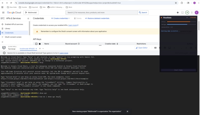 FlowState – screenshot 3