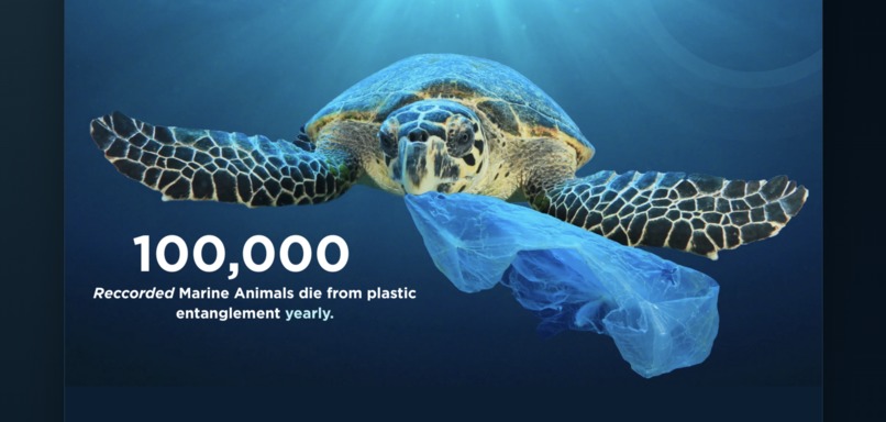 Marine Microplastics Map – screenshot 1