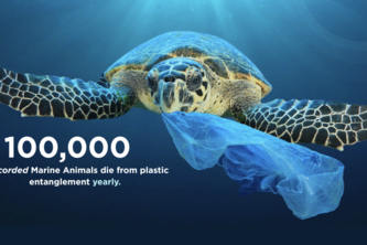 Marine Microplastics Map