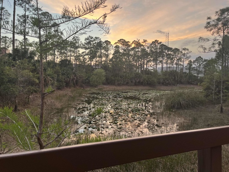 Trash App – screenshot 1