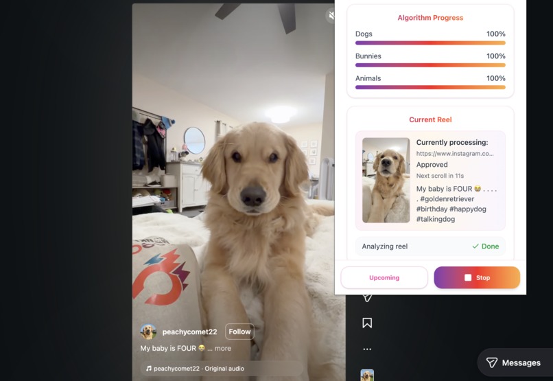 ReeLearn – screenshot 2