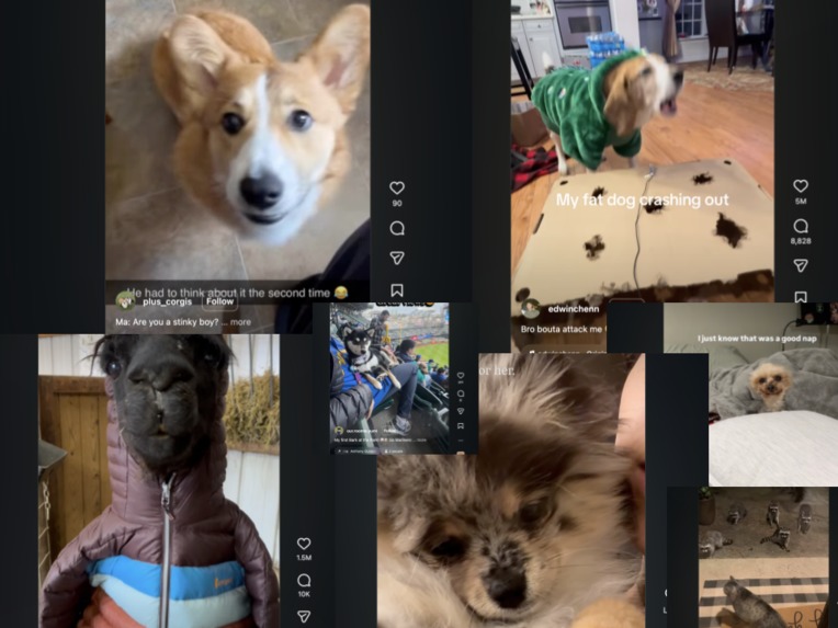 ReeLearn – screenshot 3
