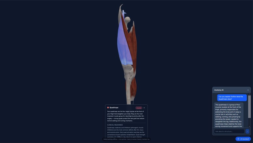OrthoVision – screenshot 4