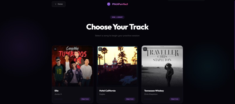 PitchPurrfect – screenshot 5