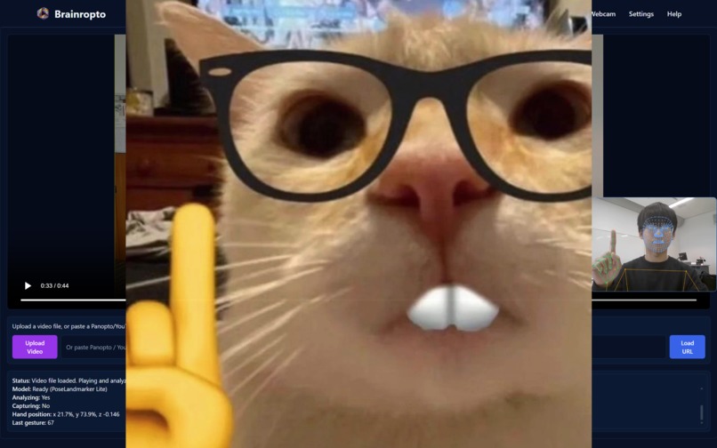 Brainropto – screenshot 4