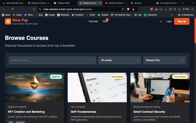 Mela Pay – screenshot 2