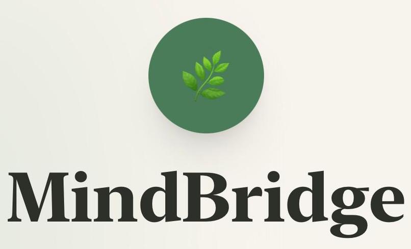 MindBridge  – screenshot 1