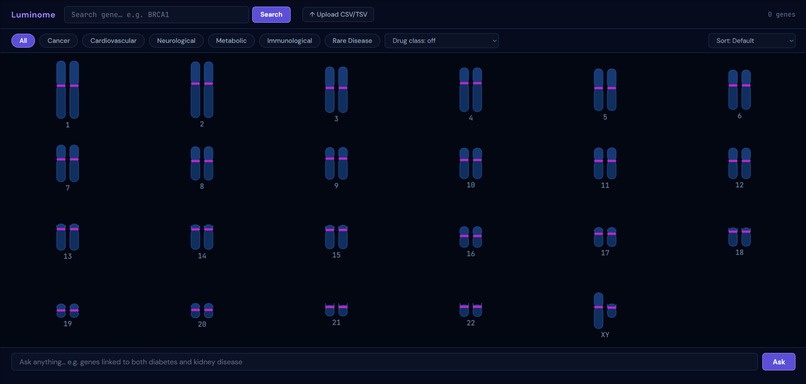 Luminome – screenshot 1