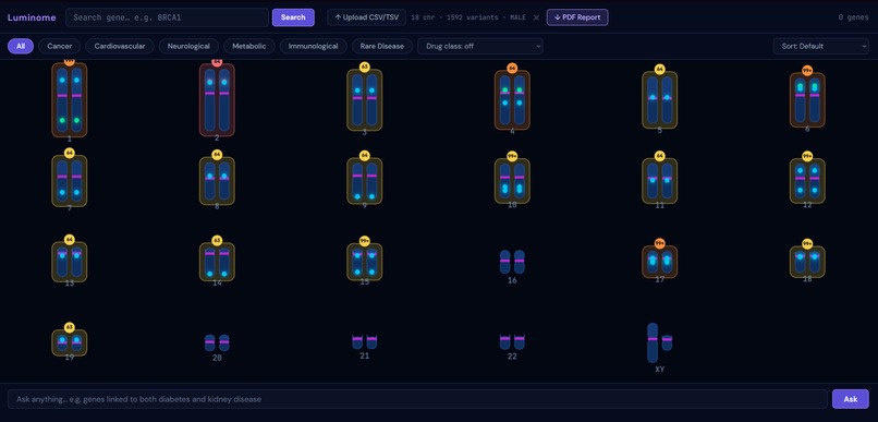Luminome – screenshot 2