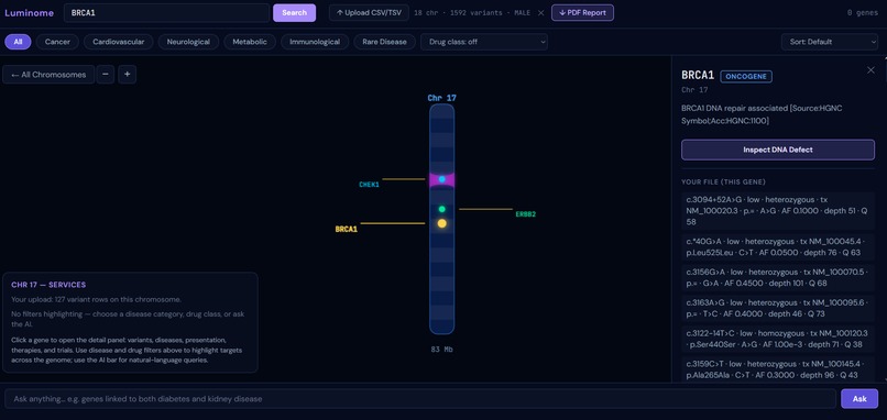 Luminome – screenshot 3