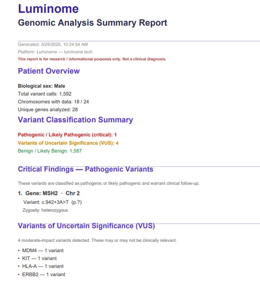 Luminome – screenshot 7