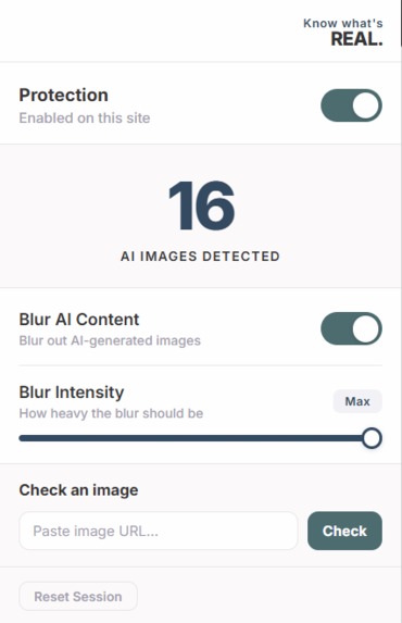 REAL. – screenshot 2